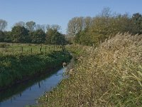 B, Limburg, Kinrooi, Basdonk 16, Saxifraga-Jan van der Straaten