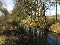 B, Limburg, Kinrooi, Hasselterbroek 4, Saxifraga-Jan van der Straaten