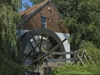 B, Limburg, Kinrooi, Luysmolen 1, Saxifraga-Marijke Verhagen