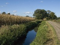 B, Limburg, Kinrooi, Zuurbeekvallei 10, Saxifraga-Jan van der Straaten