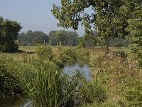 B, Limburg, Maaseik, Bosbeek 10, Saxifraga-Marijke Verhagen