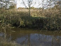 B, Limburg, Neerpelt, Hageven, Dommel 18, Saxifraga-Jan van der Straaten