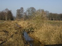 B, Limburg, Peer, Bergske, Dommel 1, Saxifraga-Jan van der Straaten