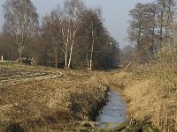 B, Limburg, Peer, Bergske, Dommel 2, Saxifraga-Jan van der Straaten