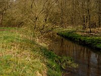 B, Limburg, Peer, Eikelbos, Dommel 1, Saxifraga-Jan van der Straaten