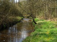 B, Limburg, Peer, Neerhoksent, Dommel 2, Saxifraga-Jan van der Straaten