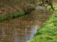 B, Limburg, Peer, Neerhoksent, Dommel 3, Saxifraga-Jan van der Straaten