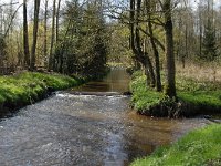 B, Limburg, Peer, Neerhoksent, Dommel and Bollisserbeek 3, Saxifraga-Jan van der Straaten