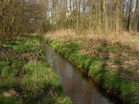 B, Limburg, Peer, Tichelhoven, Bollisserbeek 2, Saxifraga-Jan van der Straaten