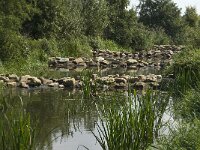 NL, Noord-Brabant, Oirschot, Spoordonk, Beerze 4, Saxifraga-Jan van der Straaten