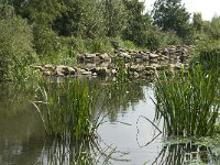 NL, Noord-Brabant, Oirschot, Spoordonk, Beerze 5, Saxifraga-Jan van der Straaten