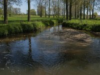 NL, Noord-Brabant, Boxmeer, Molenbeek 7, Saxifraga-Marijke Verhagen