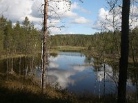 FI, Oulu, Kuusamo, Oulanka 5, Saxifraga-Dirk Hilbers