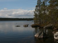 FIN, Lapland, Inari 17, Saxifraga-Dirk Hilbers
