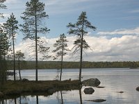 FIN, Lapland, Inari 2, Saxifraga-Dirk Hilbers