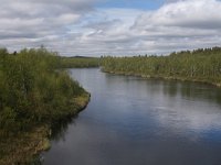 FIN, Lapland, Inari, Lemmenjoki 2, Saxifraga-Dirk Hilbers