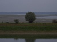 F, Haute-Marne, Saint-Dizier, Lac du Der 12, Saxifraga-Jan Nijendijk