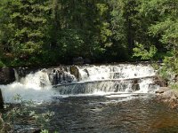 S, Jamtland, Harjedalen, Waterfall 4, Saxifraga-Willem van Kruijsbergen