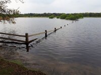 NL, Noord-Brabant, Eersel, Grootmeer 18, Saxifraga-Tom Heijnen