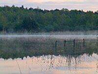 NL, Noord-Brabant, Valkenswaard, Greveschutven in Landgoed Valkenhorst 8, Saxifraga-Tom Heijnen
