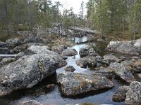 FIN, Lapland, Inari 14, Saxifraga-Dirk Hilbers