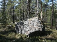 FIN, Lapland, Inari 3 Saxifraga-Dirk Hilbers