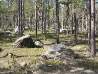 FIN, Lapland, Inari 7, Saxifraga-Dirk Hilbers