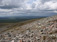 FIN, Lapland, Utsjoki, Kevo 2, Saxifraga-Dirk Hilbers