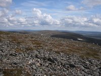 FIN, Lapland, Utsjoki, Kevo 4, Saxifraga-Dirk Hilbers