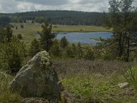 F, Lozere, Saint-Etienne-du-Valdonnez, Etang de Barradon 6, Saxifraga-Marijke Verhagen