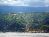 NMK, Ohrid 11, Saxifraga-Foto Fitis-Sytske Dijksen