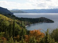 NMK, Ohrid, Gradiste 1, Saxifraga-Foto Fitis-Sytske Dijksen