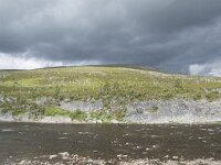 N, Finnmark, Hammerfest, Kvalsund 10, Saxifraga-Willem van Kruijsbergen