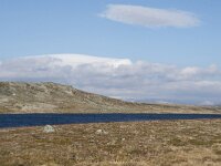 N, Hordaland, Eidfjord, Repsetjornane 6, Saxifraga-Willem van Kruijsbergen