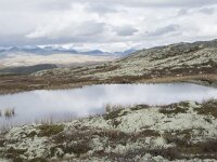 N, Innlandet, Sel, Klufttjonne 24, Saxifraga-Willem van Kruijsbergen