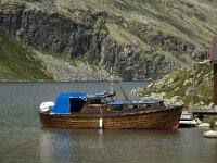 N, Innlandet, Sel, Rondvassbu 20, Saxifraga-Jan van der Straaten