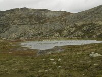 N, Innlandet, Sel, Solsidevassberget 1, Saxifraga-Willem van Kruijsbergen