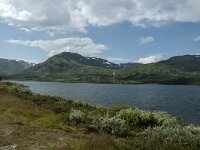 N, Innlandet, Vang 2, Saxifraga-Marijke Verhagen