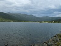 N, Innlandet, Vang 3, Saxifraga-Marijke Verhagen