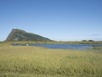 N, Nordland, Vagan, Gimsoya, Hoven 8, Saxifraga-Willem van Kruijsbergen