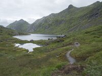 N, Nordland, Vagan, Nokksaetra 3, Saxifraga-Willem van Kruijsbergen