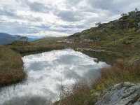 N, More og Romsdal, Fraena, Trollkyrkja 72, Saxifraga-Annemiek Bouwman
