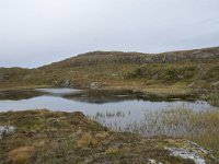 N, More og Romsdal, Molde, Tusenarsvarden 17, Saxifraga-Willem van Kruijsbergen