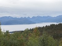 N, More og Romsdal, Molde, Tusenarsvarden 5, Saxifraga-Willem van Kruijsbergen