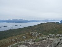 N, More og Romsdal, Molde, Tusenarsvarden 50, Saxifraga-Annemiek Bouwman