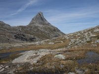 N, More og Romsdal, Rauma, Alnesvatnet 21, Saxifraga-Willem van Kruijsbergen