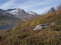 N, More og Romsdal, Rauma, Alnesvatnet 36, Saxifraga-Willem van Kruijsbergen