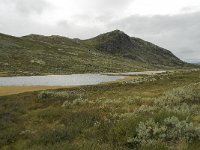 N, Oppland, Sel, Hovringsvatnet 3, Saxifraga-Willem van Kruijsbergen
