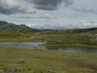 N, Sogn og Fjordane, Sogndal, Skavasshaugane 3, Saxifraga-Willem van Kruijsbergen