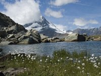 CH, Wallis, Zermatt, Gornergrat, Riffelsee 5, Saxifraga-Willem van Kruijsbergen